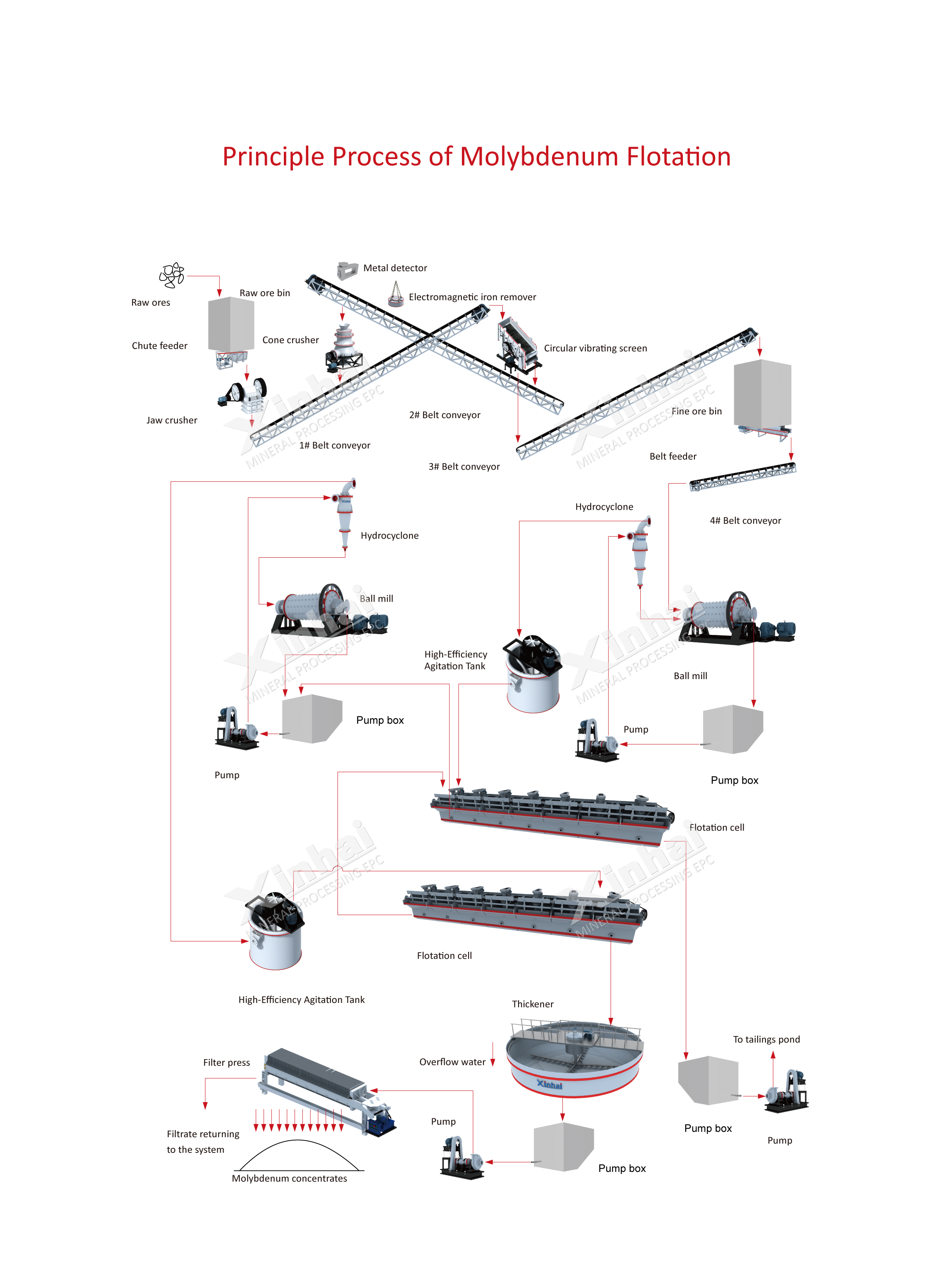 Molybdenum ore flotation process principle flow.jpg